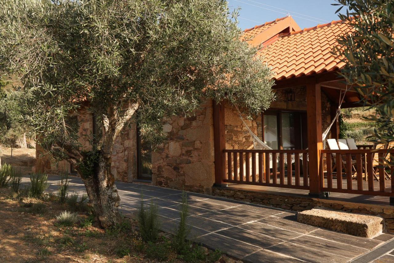 Quinta Vila Rachel - Winery Sao Mamede de Ribatua Екстер'єр фото